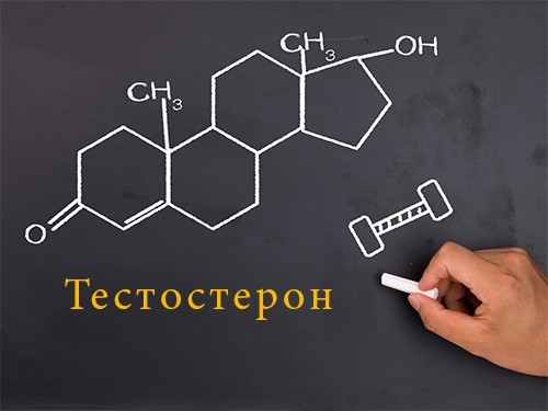 Кое-что интересное о тестостероне.