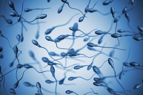 Какой должна быть сперма?